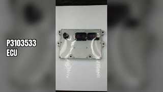 Sterownik P3103533